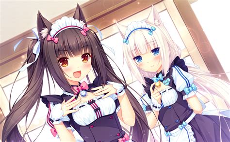 nekopara h|Nekopara